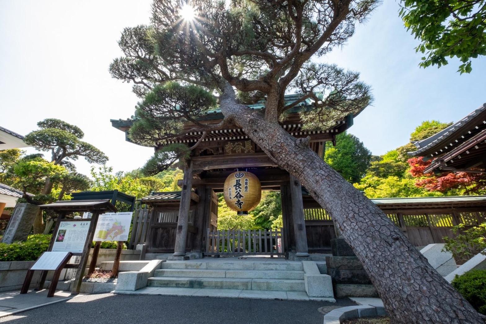 Japanese Modern Inn 鎌倉楽庵ハナレ Kamakura Luaran gambar